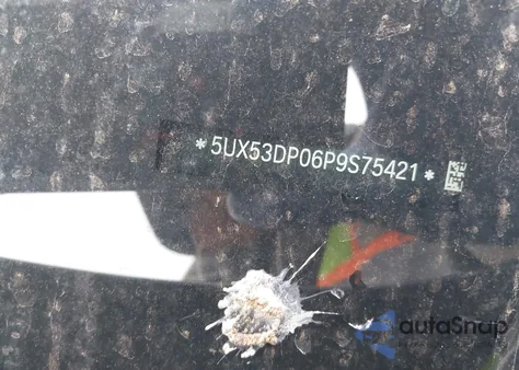 2023 BMW X3 xDrive30I z USA, uszkodzony, nr VIN 5UX53DP06P9S75421